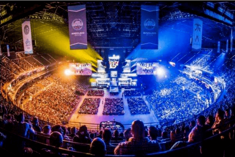 便是成功范 便是成功范